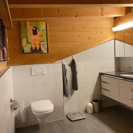 Attic In The Alps Lejlighed